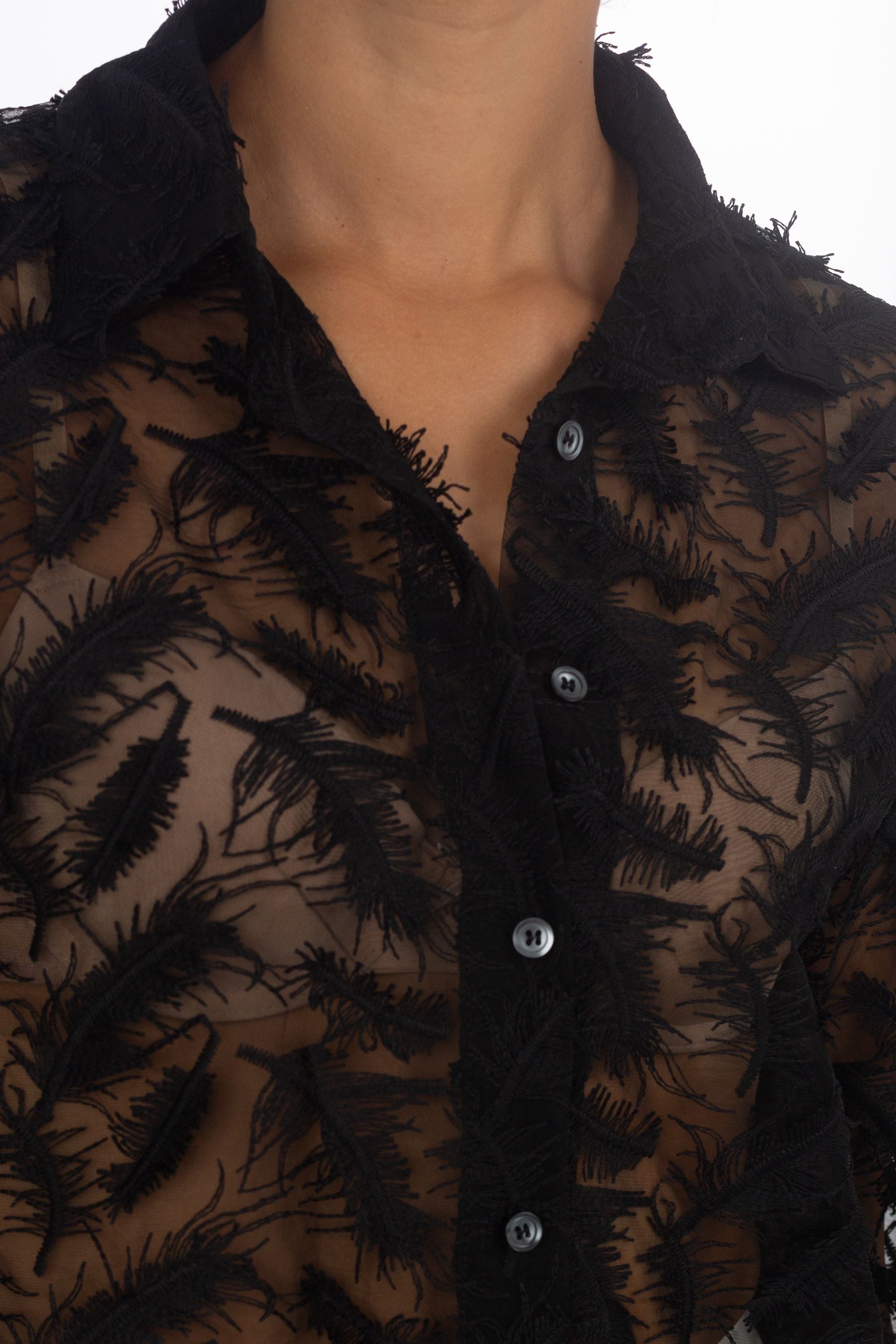 Transparente Bluse mit Feder-Details