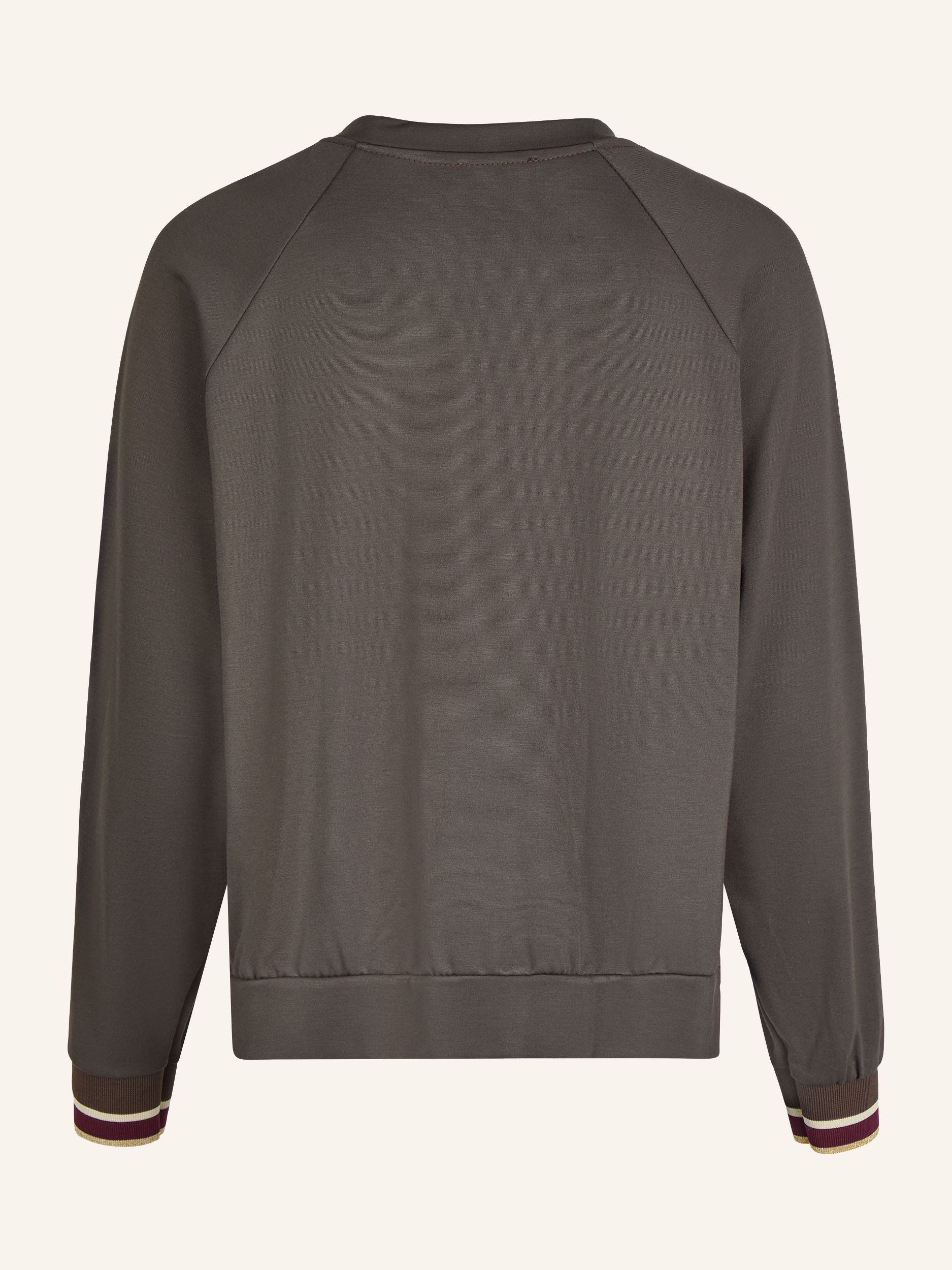 Sweatshirt mit Goldstreifen