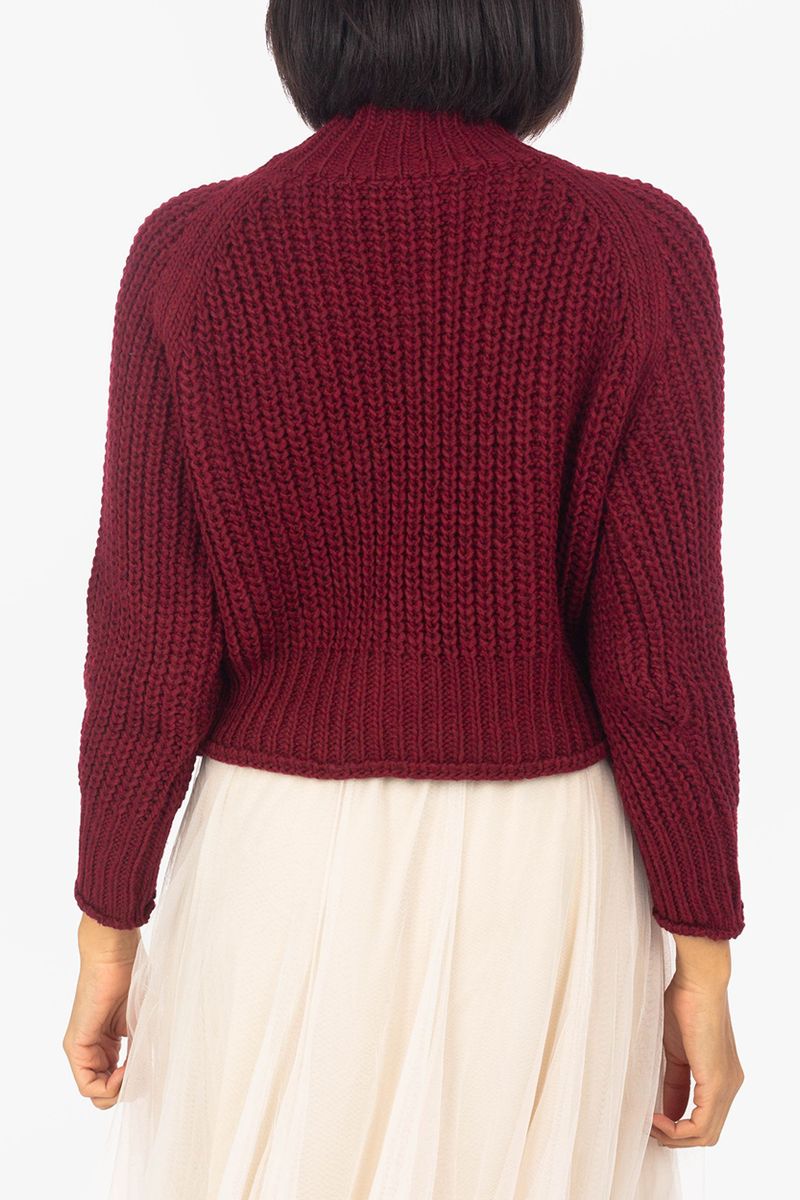 Pull à tricot grossier avec Collier de stand-up