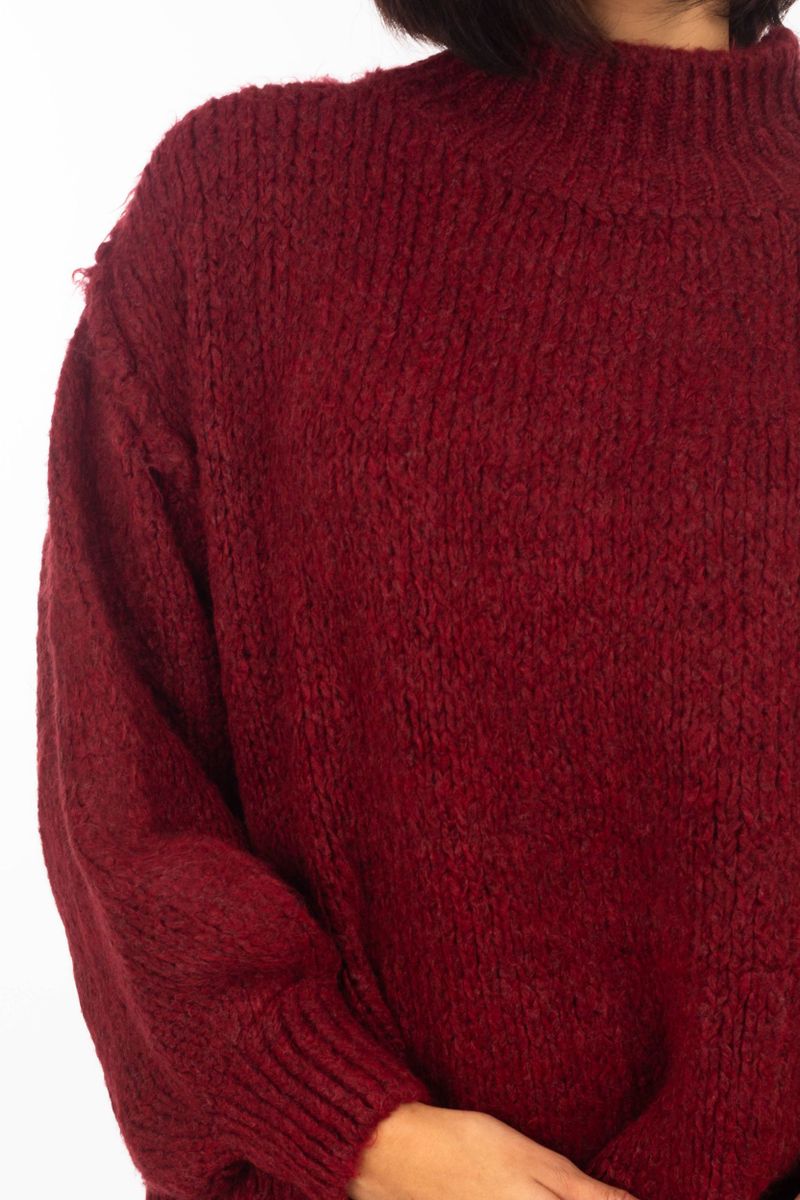 Pull à tricot grossier avec Collier de stand-up