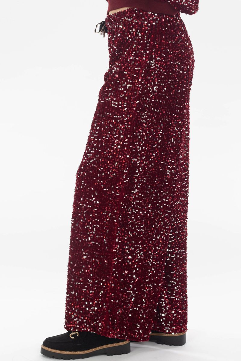 Pantalon à paillettes en velours