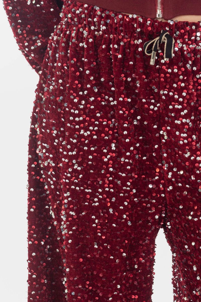 Pantalon à paillettes en velours