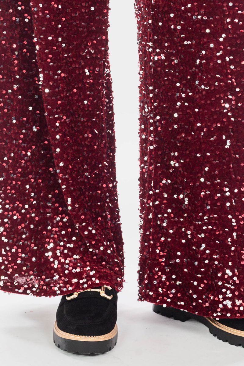 Pantalon à paillettes en velours