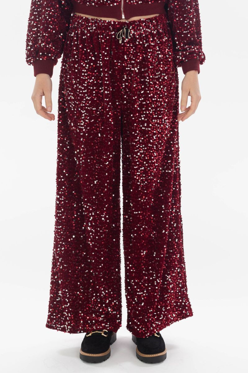 Pantalon à paillettes en velours